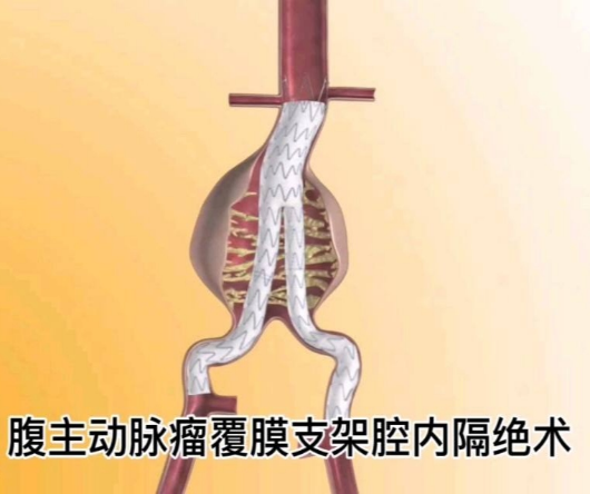 图片6.png
