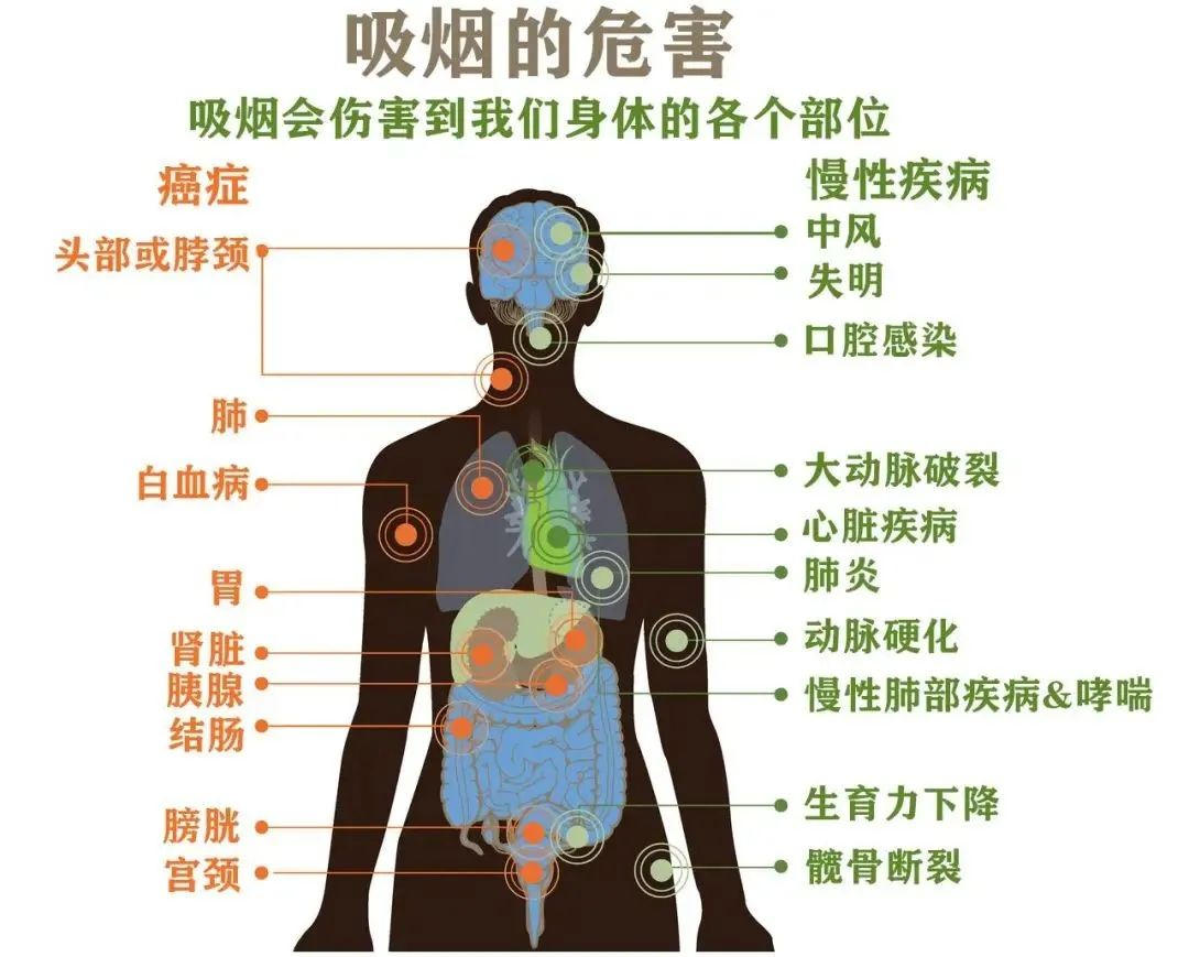 图片17.png