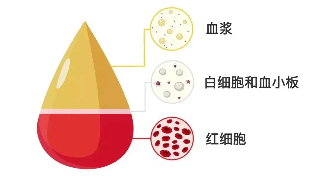 图片17.png