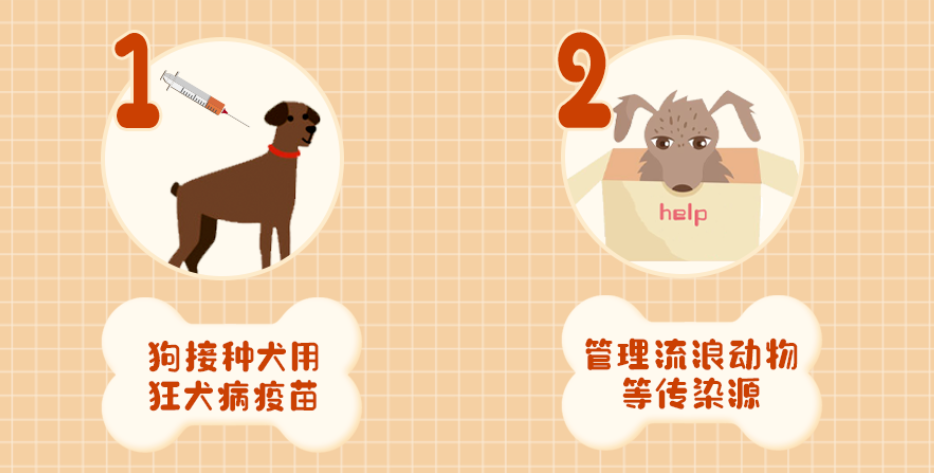 图片12.png
