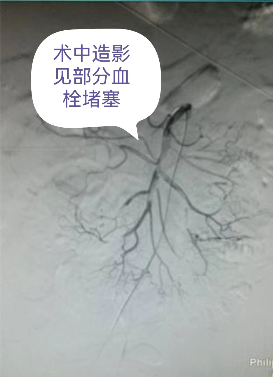 71eb9e5ecc9a5af80cb0491b42b18797_.jpg